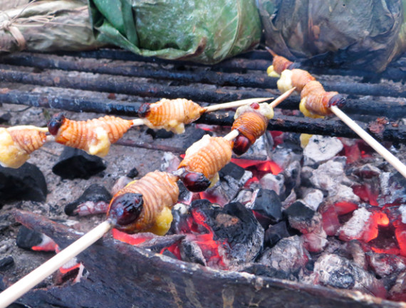 Chontacuros, un atractivo gastronómico de la Amazonía
