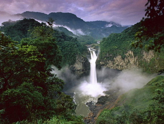 Datos curiosos sobre el Parque Nacional Yasuní